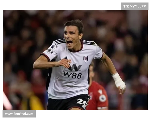 英超第五轮富勒姆小胜布伦特福德帕利尼亚头球成关键